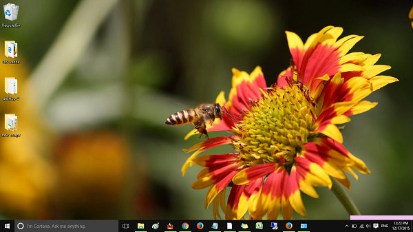 Bees-Windows-10-theme-pingzic-com