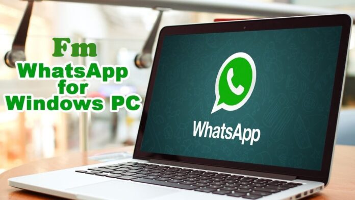 Download WhatsApp for PC