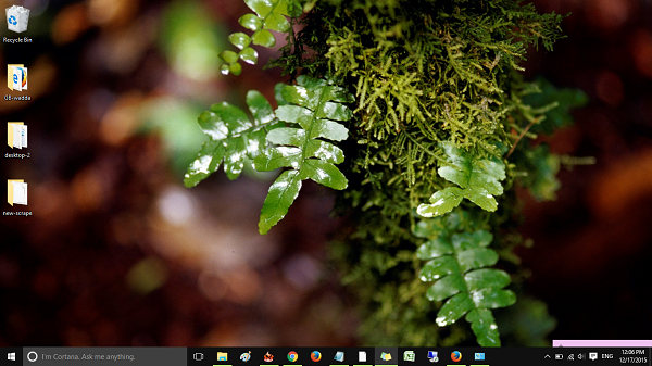 Forests-Windows-10-theme-pingzic-com