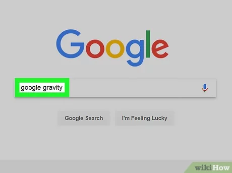 Google Gravity Code