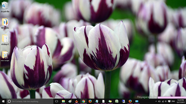 tulip-festival-Windows-10-theme-pingzic-com